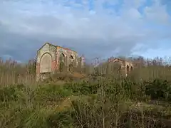 Coal mine Arthur de Buyer ruin.