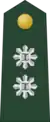 Lieutenant Colonel