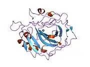 1dca: STRUCTURE OF AN ENGINEERED METAL BINDING SITE IN HUMAN CARBONIC ANHYDRASE II REVEALS THE ARCHITECTURE OF A REGULATORY CYSTEINE SWITCH