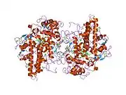 1dnw: HUMAN MYELOPEROXIDASE-CYANIDE-THIOCYANATE COMPLEX