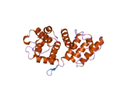 1tjt: X-ray structure of the human alpha-actinin isoform 3 at 2.2A resolution