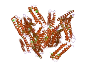 1tr2: Crystal structure of human full-length vinculin (residues 1-1066)