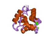 1ttx: Solution structure of human beta parvalbumin (oncomodulin) refined with a paramagnetism based strategy