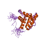 1wyr: Solution structure of the CH domain of human Rho guanine nucleotide exchange factor 6