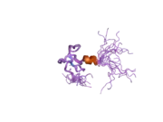 1xwh: NMR structure of the first phd finger of autoimmune regulator protein (AIRE1): insights into apeced