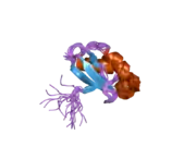 1y3j: Solution structure of the copper(I) form of the fifth domain of Menkes protein