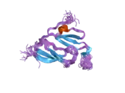 1y7x: Solution structure of a two-repeat fragment of major vault protein