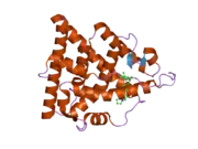 1yim: Human estrogen receptor alpha ligand-binding domain in complex with compound 4