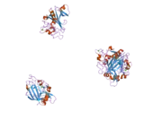 1z3u: Structure of the Angiopoietin-2 Receptor Binding Domain and Identification of Surfaces Involved in Tie2 Recognition