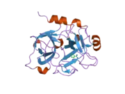 1zhr: Crystal Structure of the Catalytic Domain of Coagulation Factor XI in Complex with Benzamidine (S434A-T475A-C482S-K437A Mutant)