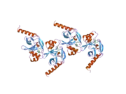 1zkk: Crystal structure of hSET8 in ternary complex with H4 peptide (16-24) and AdoHcy