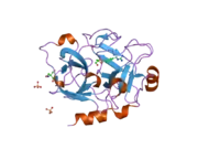 1zmj: Crystal Structure of the Catalytic Domain of Factor XI in complex with 4-(guanidinomethyl)-phenylboronic acid