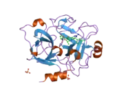 1zpc: Crystal Structure of the Catalytic Domain of Coagulation Factor XI in Complex with 2-[2-(3-Chloro-phenyl)-2-hydroxy-acetylamino]-N-[4-guanidino-1-(thiazole-2-carbonyl)-butyl]-3-methyl-butyramide