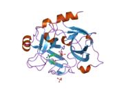 1zrk: Factor XI complexed with 3-hydroxypropyl 3-(7-amidinonaphthalene-1-carboxamido)benzenesulfonate