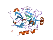 1ztl: Crystal Structure of the Catalytic Domain of Coagulation Factor XI in Complex with N-[4-Guanidino-1-(thiazole-2-carbonyl)-butyl]-2-{6-oxo-5-[(quinolin-8-ylmethyl)-amino]-2-m-tolyl-6H-pyrimidin-1-yl}-acetamide