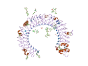 2a0z: The molecular structure of toll-like receptor 3 ligand binding domain