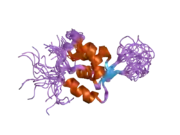 2a3s: Solution structure and Dynamics of DNA-Binding Domain of Myocyte Nuclear Factor