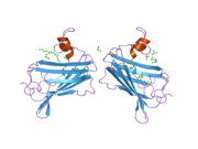 2ag9: Crystal Structure of the Y137S mutant of GM2-Activator Protein