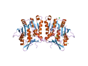 2azt: Crystal structure of H176N mutant of human Glycine N-Methyltransferase