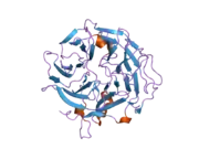 2b4e: Crystal Structure of Murine Coronin-1: monoclinic form