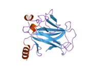 2bip: HUMAN P53 CORE DOMAIN MUTANT M133L-H168R-V203A-N239Y-R249S-N268D