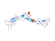 2bou: EGF DOMAINS 1,2,5 OF HUMAN EMR2, A 7-TM IMMUNE SYSTEM MOLECULE, IN COMPLEX WITH BARIUM.