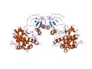 2bva: CRYSTAL STRUCTURE OF THE HUMAN P21-ACTIVATED KINASE 4