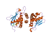 2c0j: CRYSTAL STRUCTURE OF THE BET3-TRS33 HETERODIMER