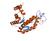 2c9y: STRUCTURE OF HUMAN ADENYLATE KINASE 2