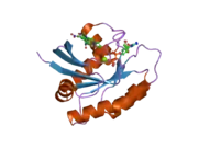 2ce2: CRYSTAL STRUCTURE ANALYSIS OF A FLUORESCENT FORM OF H-RAS P21 IN COMPLEX WITH GDP