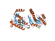 2cjw: CRYSTAL STRUCTURE OF THE SMALL GTPASE GEM (GEMDNDCAM) IN COMPLEX TO MG.GDP