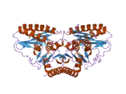 2czh: Crystal structure of human myo-inositol monophosphatase 2 (IMPA2) with phosphate ion (orthorhombic form)