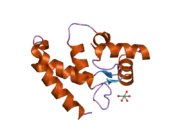 2d58: Human microglia-specific protein Iba1