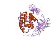 2d88: Solution structure of the CH domain from human MICAL-3 protein