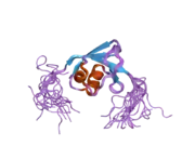 2daj: Solution Structure of the Novel Identified Ubiquitin-like Domain in the Human COBL-like 1 Protein