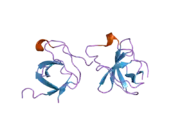 2df6: Crystal Structure of the SH3 Domain of betaPIX in Complex with a High Affinity Peptide from PAK2