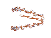 2dfs: 3-D structure of Myosin-V inhibited state