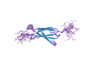 2dle: Solution structure of the fourth fn3 domain of human receptor-type tyrosine-protein phosphatase eta