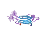 2dmh: Solution structure of the first C2 domain of human myoferlin