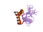 2do5: Solution structure of the SAP domain of human splicing factor 3B subunit 2