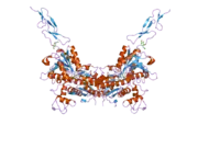 2e4v: Crystal structure of the extracellular region of the group II metabotropic glutamate receptor complexed with DCG-IV