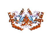 2eaw: Human UMP Synthase (C-terminal Domain- Orotidine 5'-Monophosphate Decarboxylase)