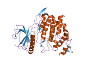 2eu9: Crystal Structure of CLK3