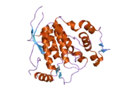 2exe: Crystal structure of the phosphorylated CLK3