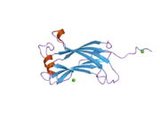 2f1w: Crystal structure of the TRAF-like domain of HAUSP/USP7