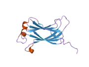 2f1y: Crystal structure of the TRAF-like domain of HAUSP/USP7 bound to a MDM2 peptide