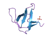 2f2w: alpha-spectrin SH3 domain R21A mutant