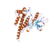 2f4j: Structure of the Kinase Domain of an Imatinib-Resistant Abl Mutant in Complex with the Aurora Kinase Inhibitor VX-680