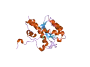 2fby: WRN exonuclease, Eu complex