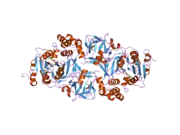 2ffv: Human ppGalNAcT-2 complexed with manganese and UDP